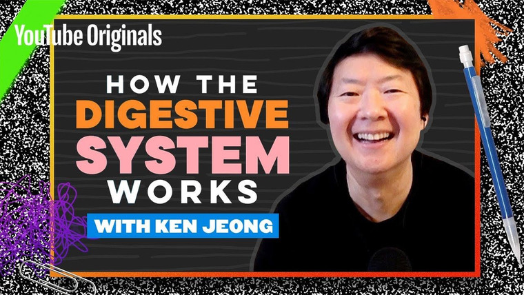 Celebrity Substitute — s01e01 — Your Guts, Explained by Ken Jeong