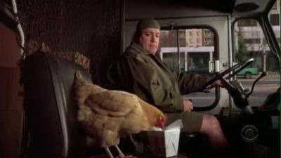 The King of Queens — s09e08 — Offensive Fowl