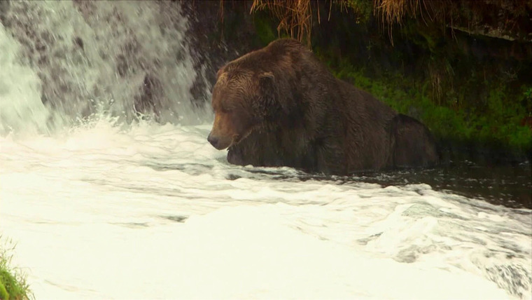 Guiding Alaska — s01e07 — Bears!