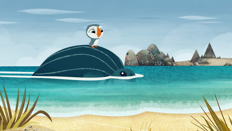 Puffin Rock — s02e31 — Turtle Taxi