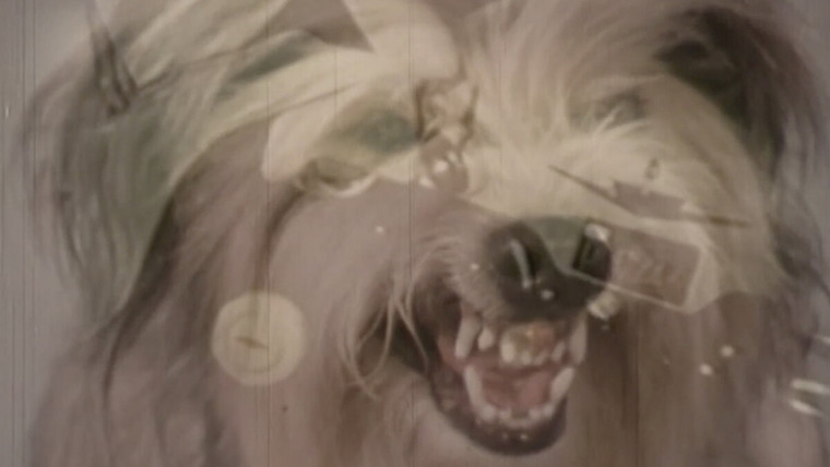Cinema Toast — s01e02 — Report on the Canine Auto-Mechanical Soviet Threat