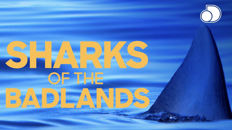 Shark Week — s2019e04 — Sharks of the Badlands