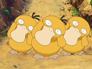 Покемон — s11e35 — The Psyduck Stops Here!