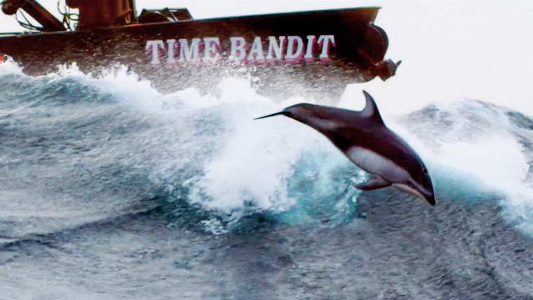 Смертельный улов — s20e06 — The Purpose of Porpoises
