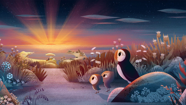 Puffin Rock — s03e03 — Rise and Shine