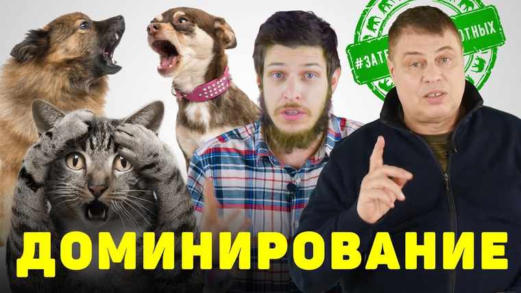 Затевахин О Животных — s02e05 — Доминирование и иерархия. У животных. Кто в доме хозяин?
