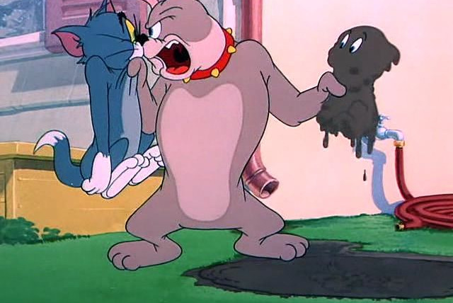 Tom & Jerry (Hanna-Barbera era) — s01e60 — Slicked-up Pup