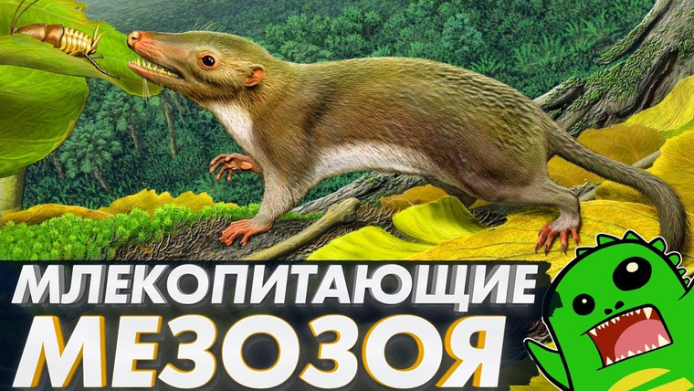 Упоротый Палеонтолог — s02e15 — МЛЕКОПИТАЮЩИЕ МЕЗОЗОЯ: что позволило выжить среди динозавров? (часть 2)