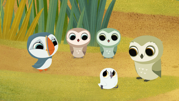 Puffin Rock — s02e25 — Owl School