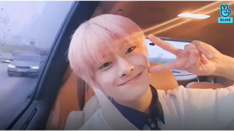 Stray Kids — s2019e253 — [Live] I.N Private Life #17🦊 On my way to school~~