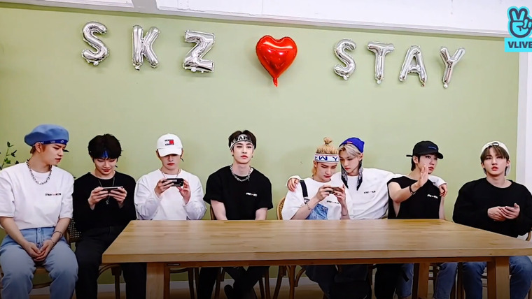 Stray Kids — s2020e168 — [Live] Mini Mini Fan Meeting Sub Cam♡
