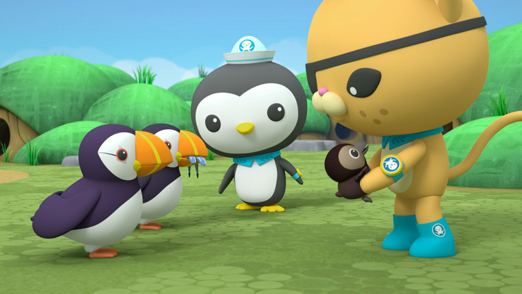 Octonauts: Above & Beyond — s01e24 — Puffin Colony