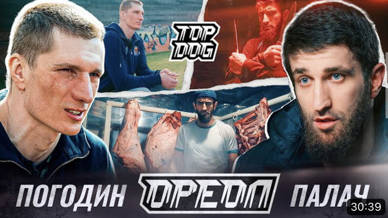 Top Dog Fighting Championship — s20 special-9 — ОРЕОЛ (Погодин vs Палач)