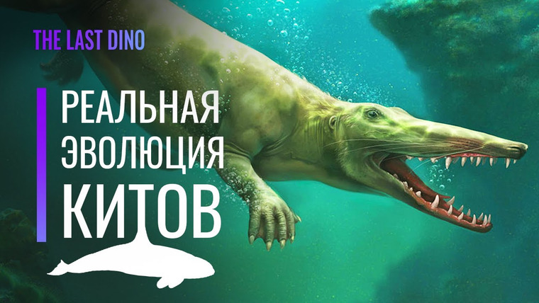 The Last Dino — s06e18 — Реальная Эволюция Китов. От копыт до эхолокации