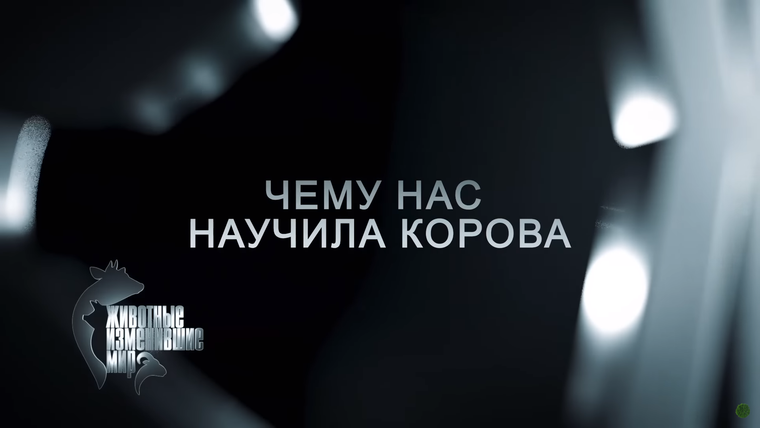 Животные, изменившие мир — s01e05 — Чему нас научила корова