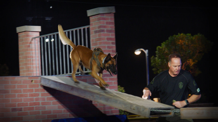 America's Top Dog — s03e07 — Redemption on the Line
