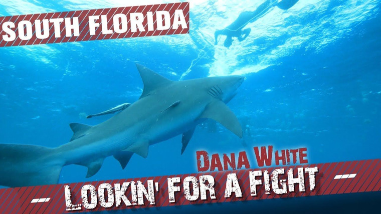 Dana White: Lookin' for a Fight — s2019e02 — South Florida