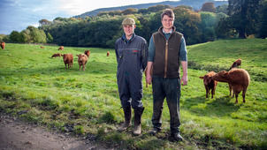 The Yorkshire Vet — s03e08 — Episode 8