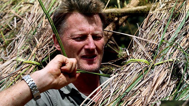 Birds of Paradise: The Ultimate Quest — s01e02 — Episode 2