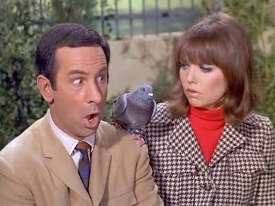 Напряги извилины — s03e22 — Spy, Spy, Birdie