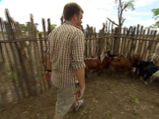 Удивительная гонка — s07e06 — Houston, We Have an Elephant!