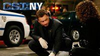 CSI: Место преступления Нью-Йорк — s04e20 — Taxi
