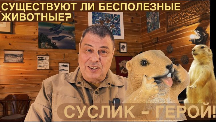 Затевахин О Животных — s05e02 — Существуют ли бесполезные животные? Суслик, незаметный герой