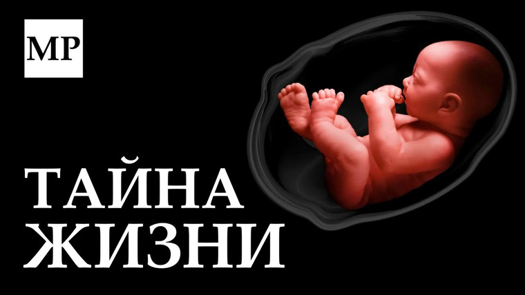 Милош Руминов — s02e03 — Как жизнь нарушает законы физики?