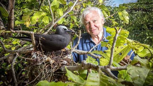 Great Barrier Reef with David Attenborough — s01e02 — Episode 2