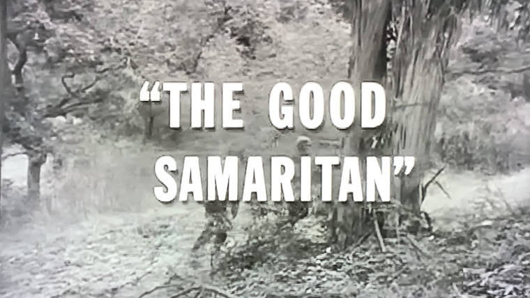 В бою — s04e18 — The Good Samaritan