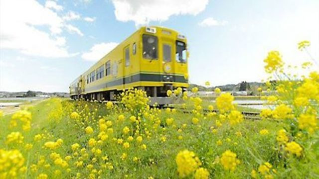 Journeys in Japan — s2014e14 — A DAY-TRIP FROM TOKYO PT.2 Slow Train in Springtime Chiba