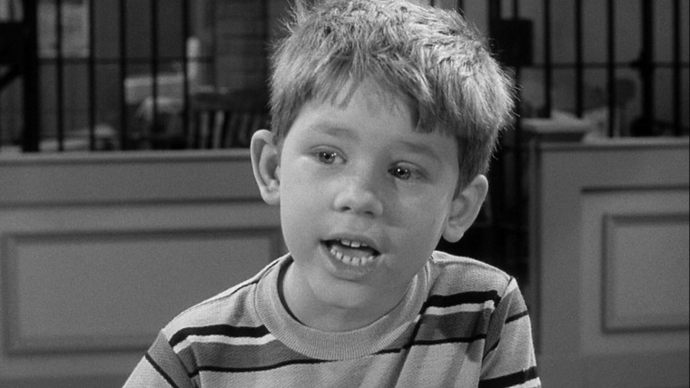 The Andy Griffith Show — s02e19 — A Medal for Opie