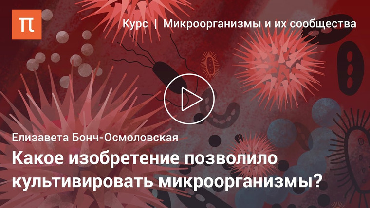 ПостНаука — s02e59 — Елизавета Бонч-Осмоловская — Чистые культуры