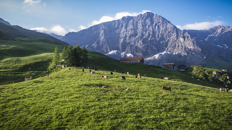 Naturparadiese mit Zukunft — s01e04 — Schweiz - Einsatz für die Alpenwiesen