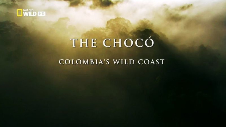 Destination Wild: Colombia — s01e01 — The Chocó: Colombia's Wild Coast