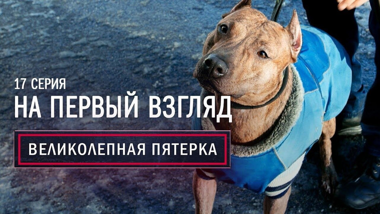Вeликолепная пятёрка — s01e17 — 17. На первый взгляд