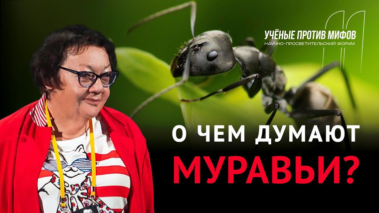 Ученые против мифов — s11e03 — Мифы о муравьях. Жанна Резникова. Ученые против мифов 11-3