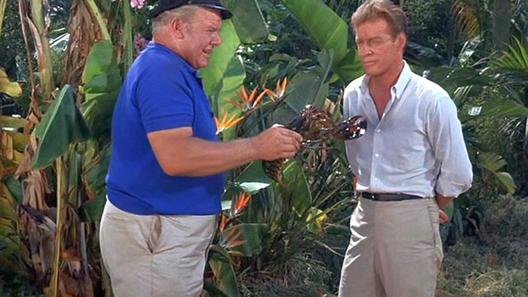 Gilligan's Island — s02e06 — Quick Before It Sinks