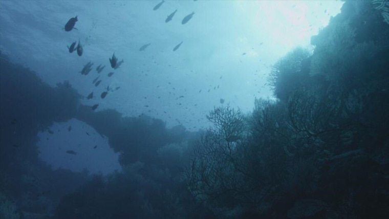 Древние пришельцы — s22e07 — Underwater Alien Bases
