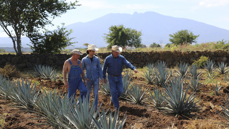Самогонщики — s11e13 — Moonshine of Mexico