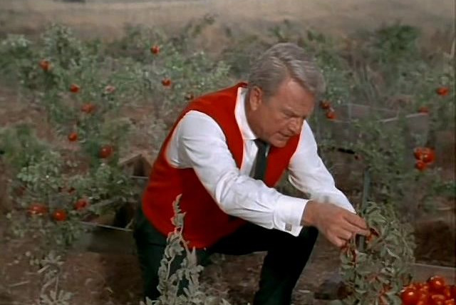 Green Acres — s03e07 — Don't Count Your Tomatoes Before They're Picked