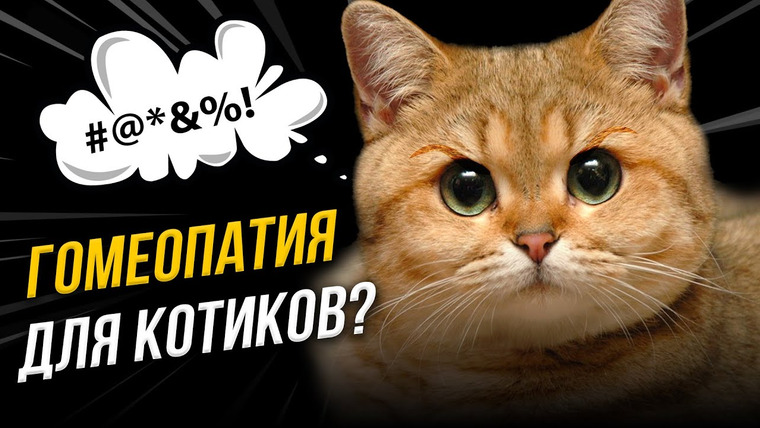 Ученые против мифов — s20e16 — Чем грозит гомеопатия вашему питомцу? | Ученые против мифов 19-16. Николай Вагабов