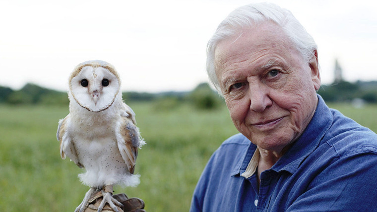David Attenborough's Conquest of the Skies — s01e03 — Triumph