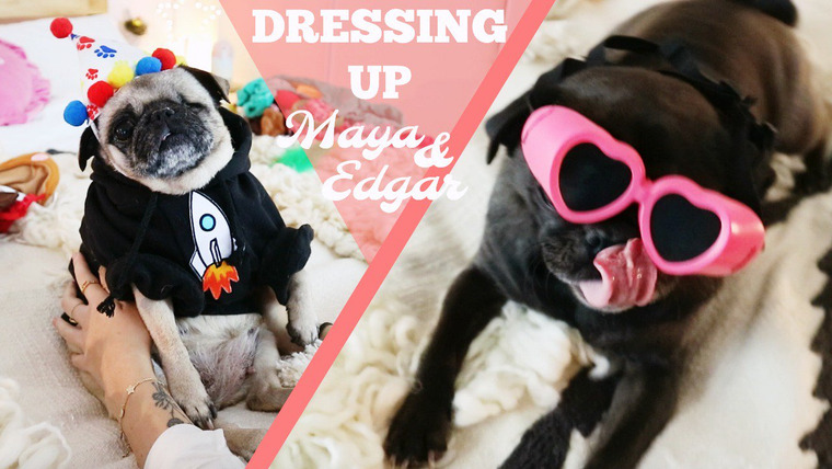 Marzia — s06 special-555 — DRESSING UP THE PUGS.