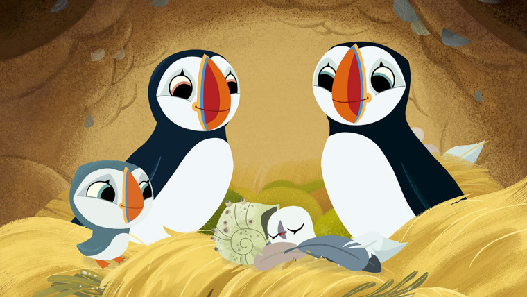 Puffin Rock — s02e30 — A Special Seashell