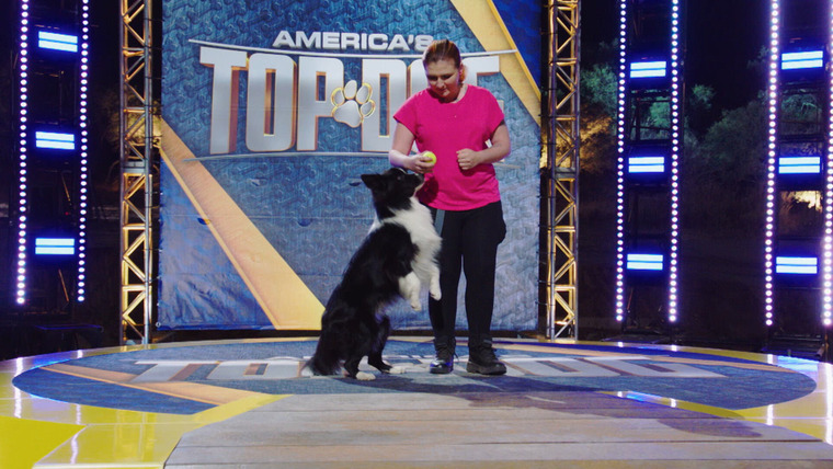 America's Top Dog — s02e05 — Tricks, Trials and Takedowns