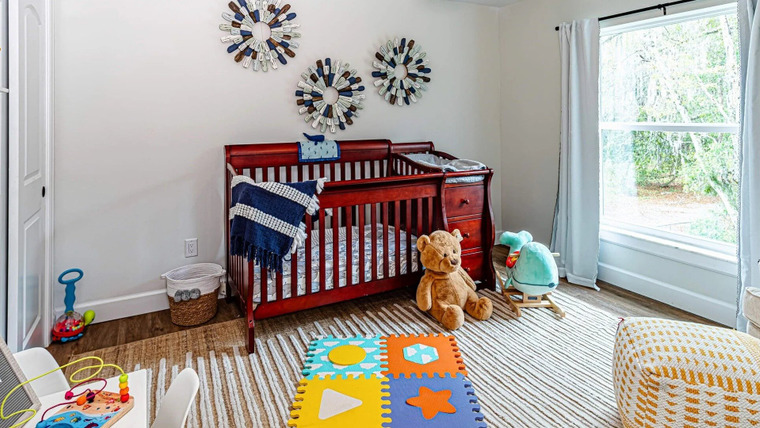 100 Day Dream Home — s02e06 — Bringing Home Baby