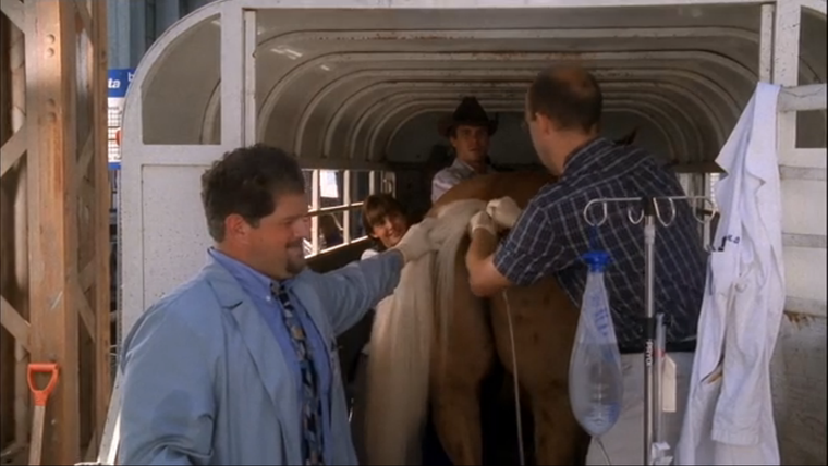 ER — s05e03 — They Treat Horses, Don't They?
