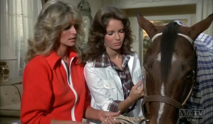 Charlie's Angels — s01e10 — Consenting Adults
