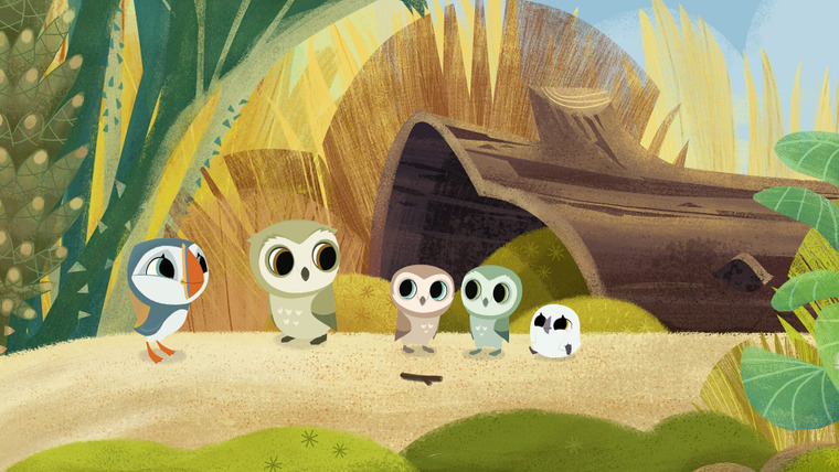 Puffin Rock — s01e39 — Daytime Sleepover